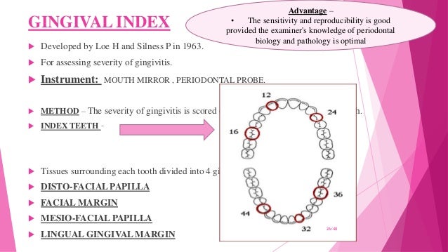 gingival index loe and silness